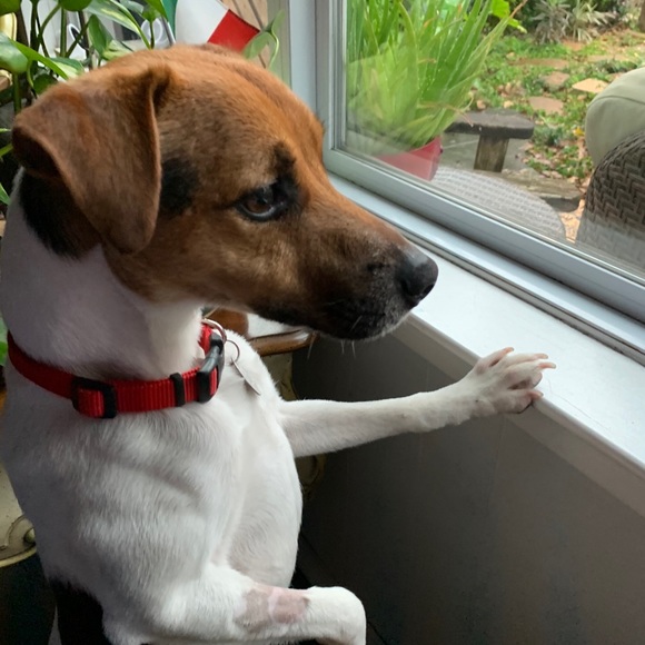 Meet the Posher β¨ - Picture 3 of 5